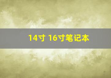 14寸 16寸笔记本